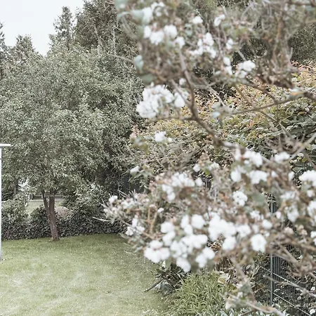 Lägenhet Bohemian -